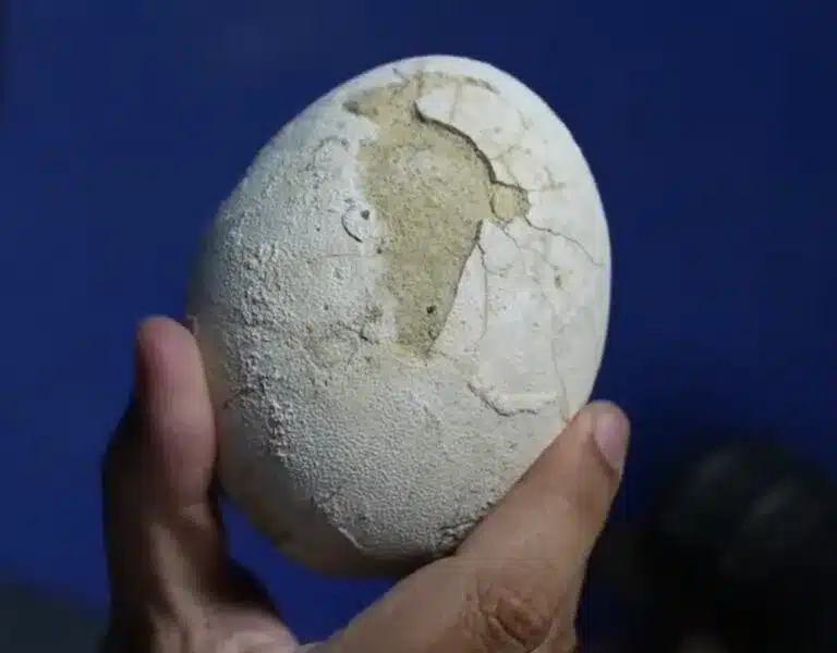 image 1691a799e93f352b86f9be1c74030195 1