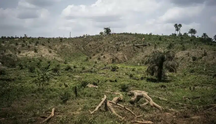 20251004200501_captura-de-pantalla-2025-10-04-a-la-s-8-03-29-p-nbsp-m