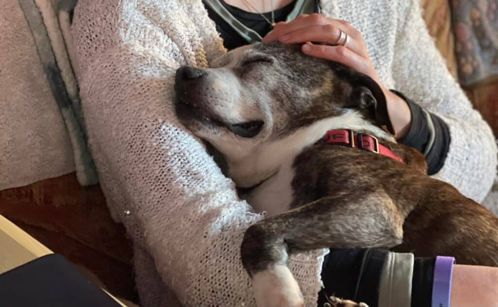 image 25VPDGHFGZDB5HNC7IDUCUGSYE 1