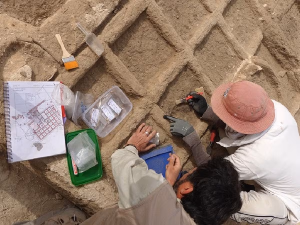 3UEVYOHU2BD77L3DIG23GZW2GI