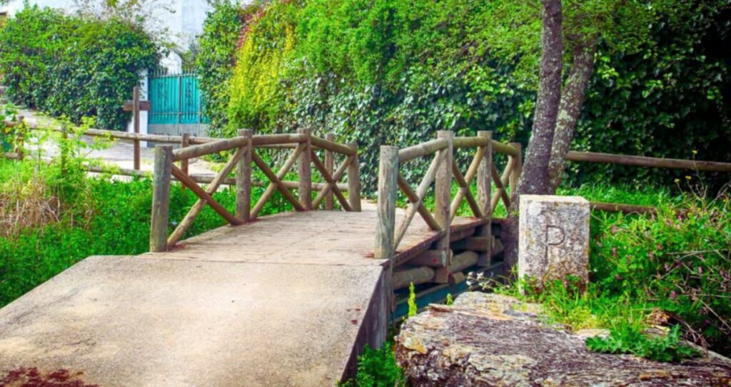 image 474F65PAZRCGBEOVO5J5ZQWBPI 1