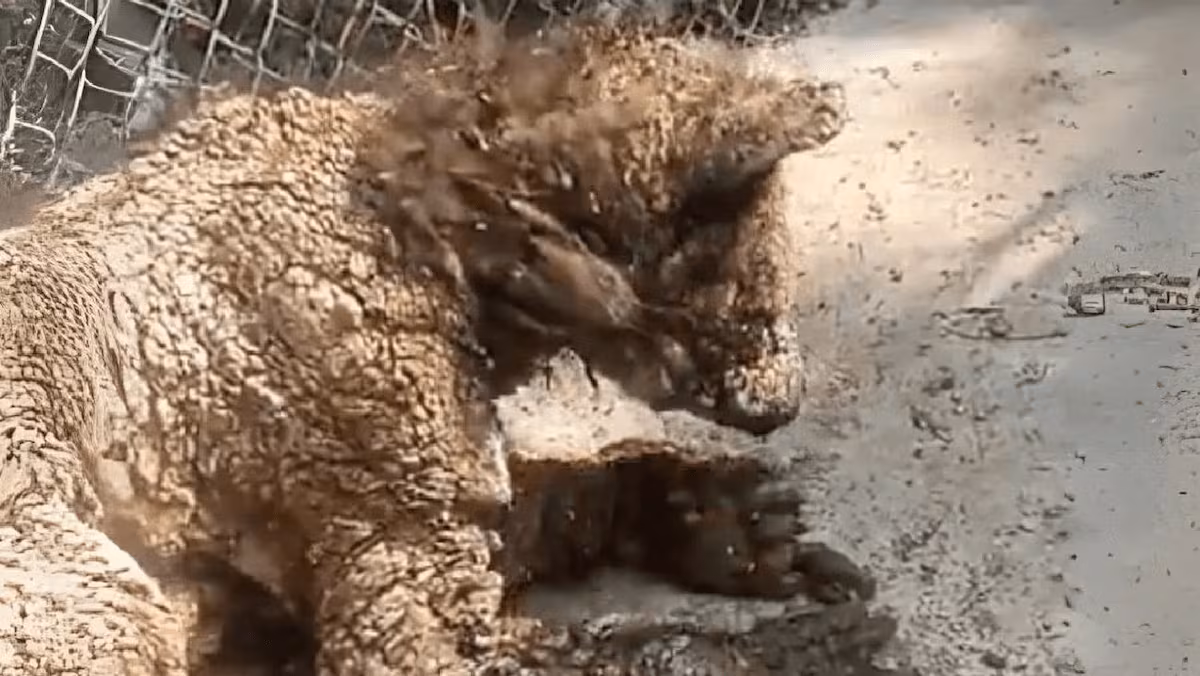 5UKKNTGRJRC65GI7D6UHKUREVM