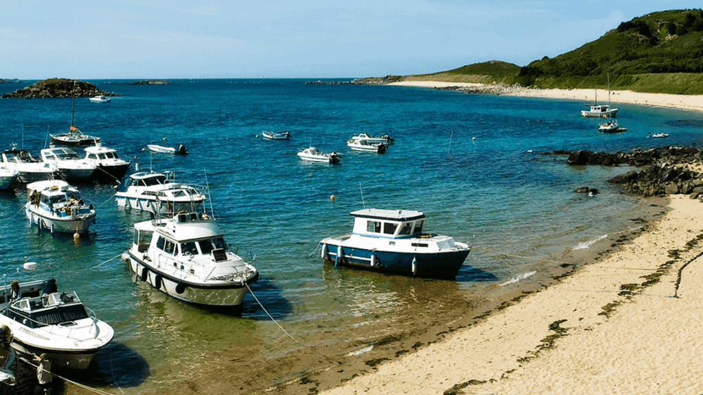 image 6f8eeb3395dc1db19b66aa12799ac2ea85189256 1