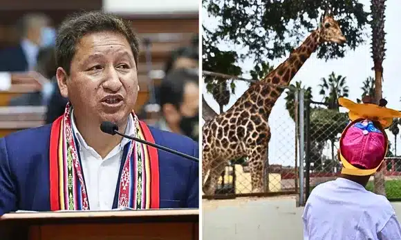 Perú propone cerrar de forma progresiva todos los zoológicos del país en los próximos 10 años image 7 1