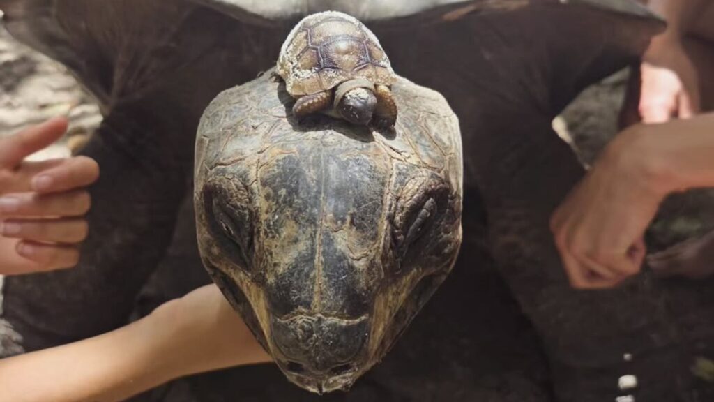 image 755EININN5DA5L7XG454QDBWYE