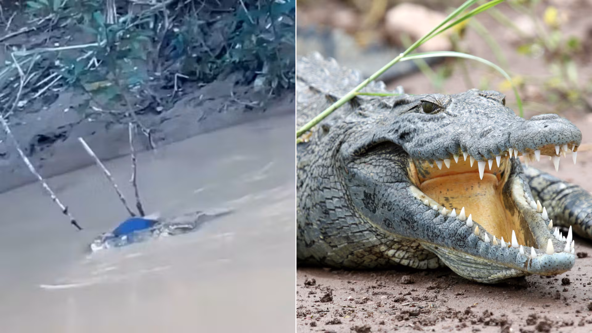 A34ASXQ3WFCLZLUN65ACXNUN5A