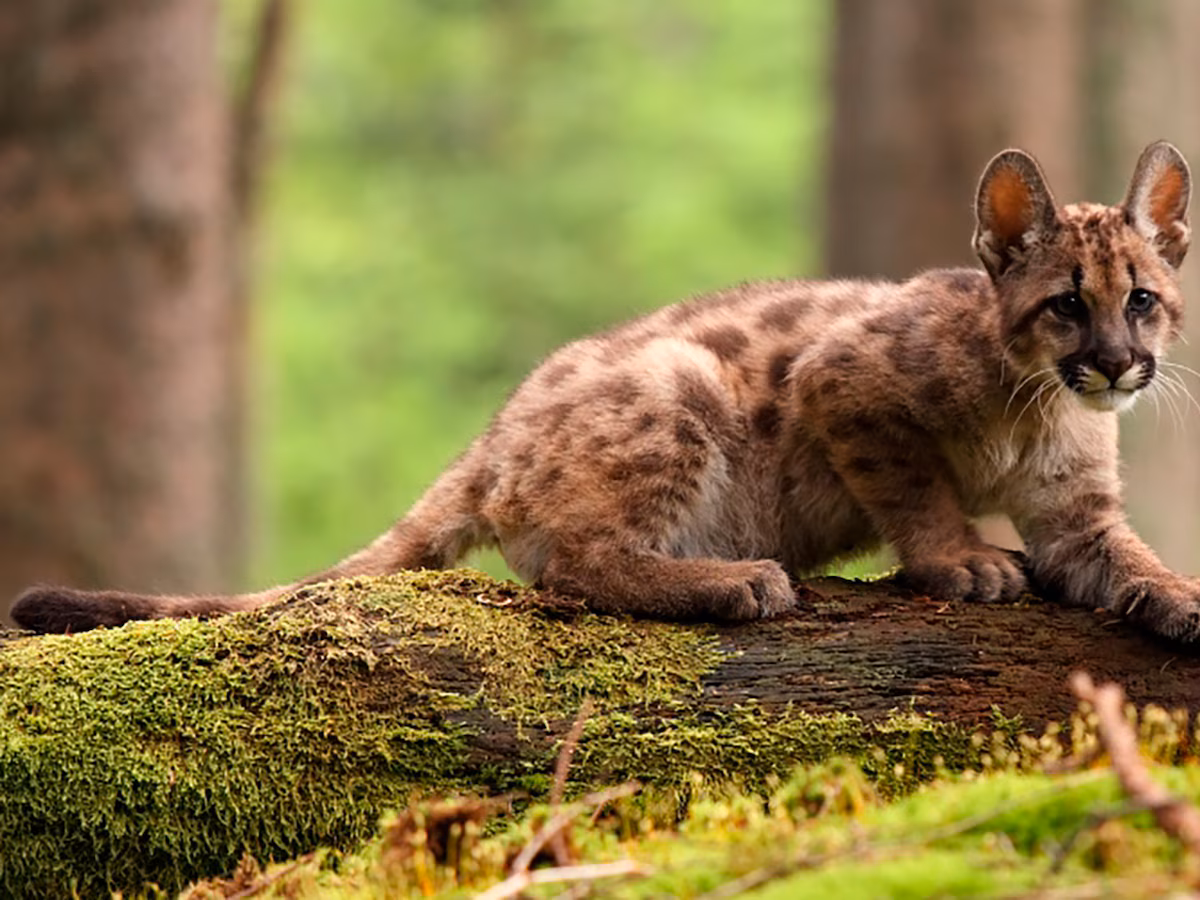 A4VRBX2RMRH2TN5OL4PAVSFE7A