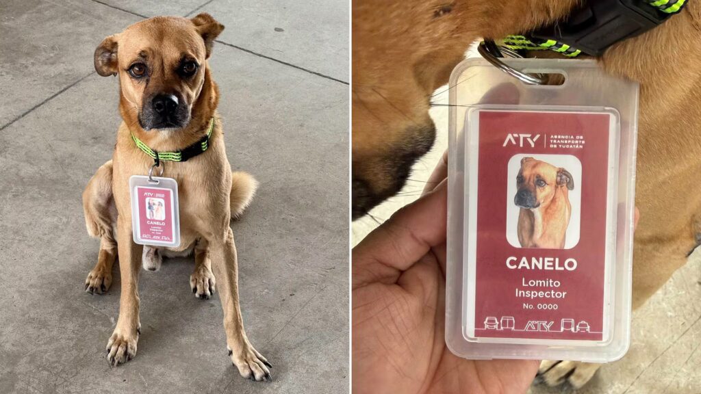 image BWKAA7CQAZBLJDTDUNEBLJTQRM 1