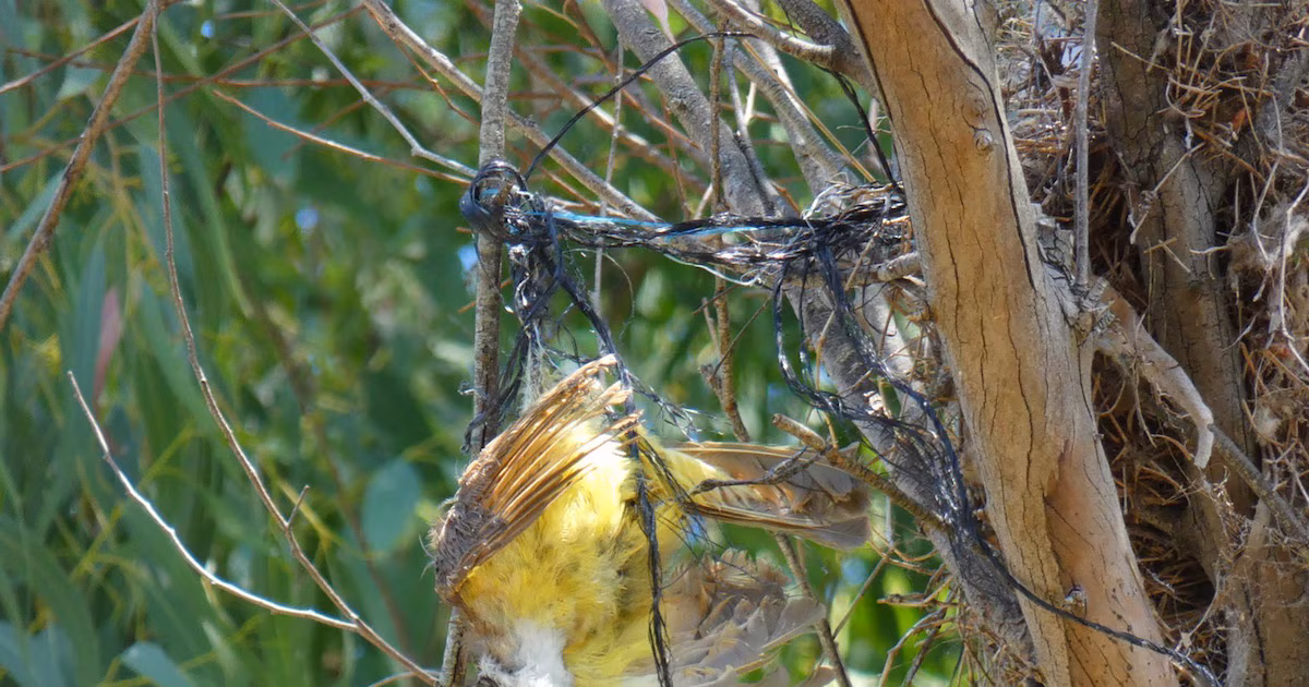 DR6K7JKJYFESZKKQWGNPNXLWZA DR6K7JKJYFESZKKQWGNPNXLWZA