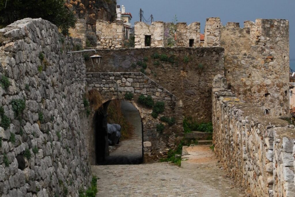 image Diseno sin titulo 33 20 1