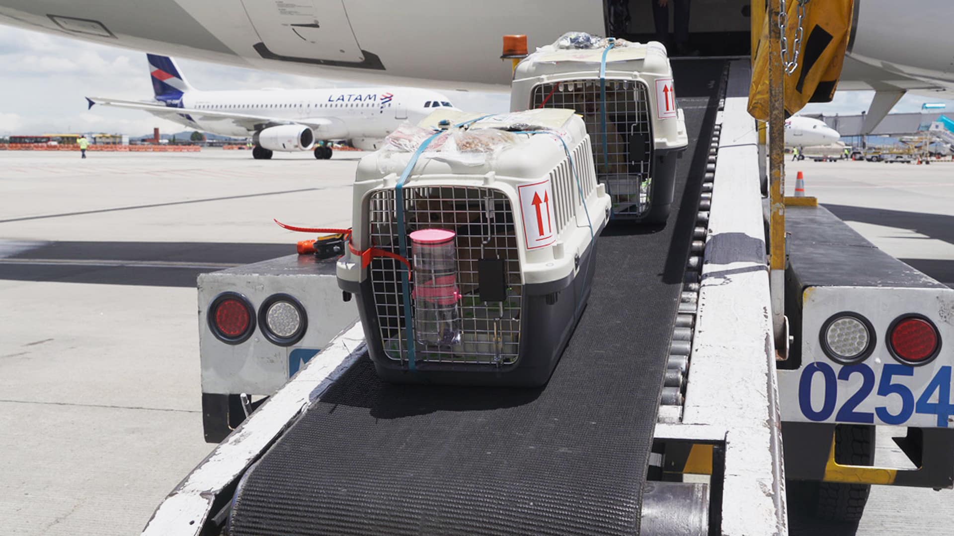 EZU23ILN25FNVMSTAKI3J3TVZE (1)