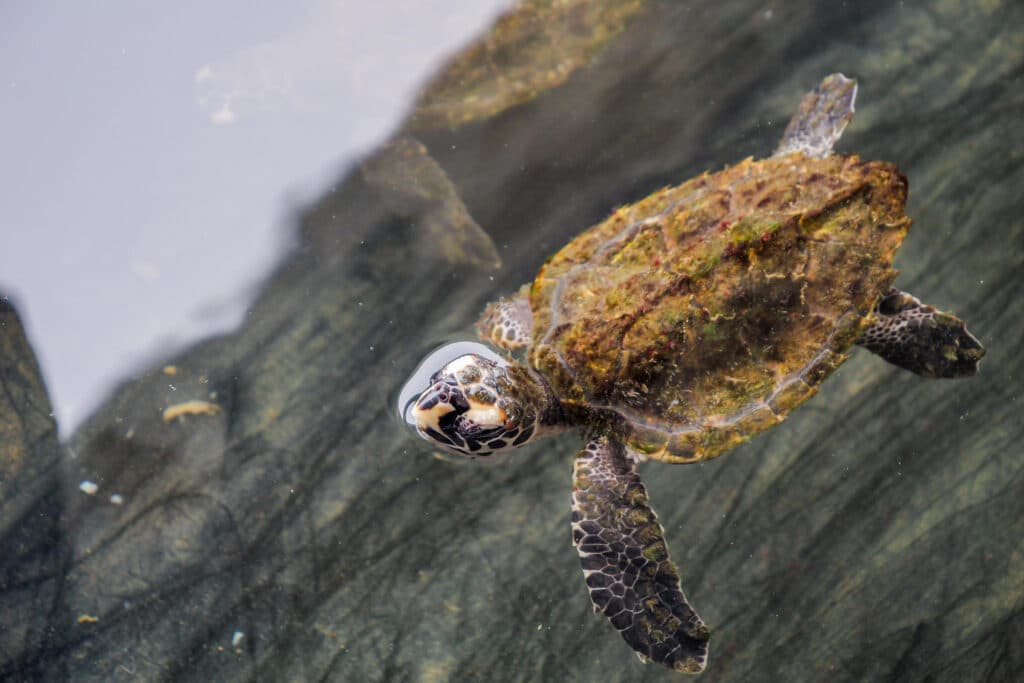 image FKHMAML4R5HBDNY3GVYQ3PDZRM