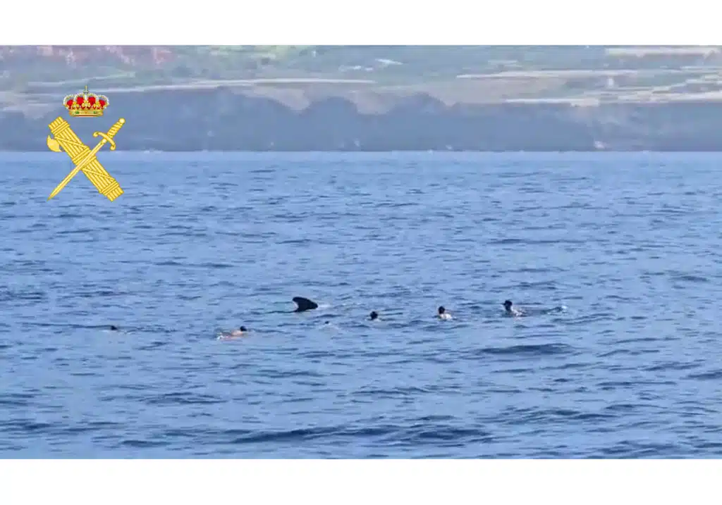 image FOTO 2 Rqd9McmX3xMxbdAyFNe5etL 1200x840@Canarias7 1