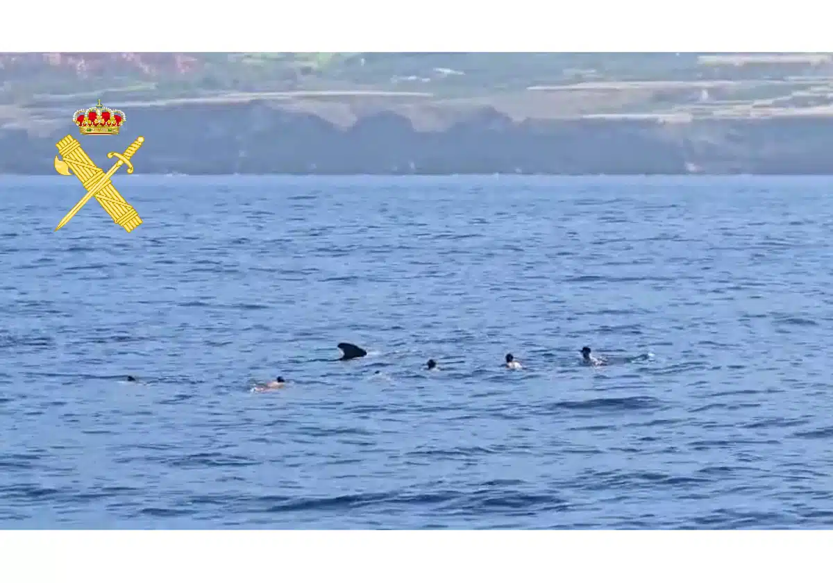 FOTO 2-Rqd9McmX3xMxbdAyFNe5etL-1200x840@Canarias7