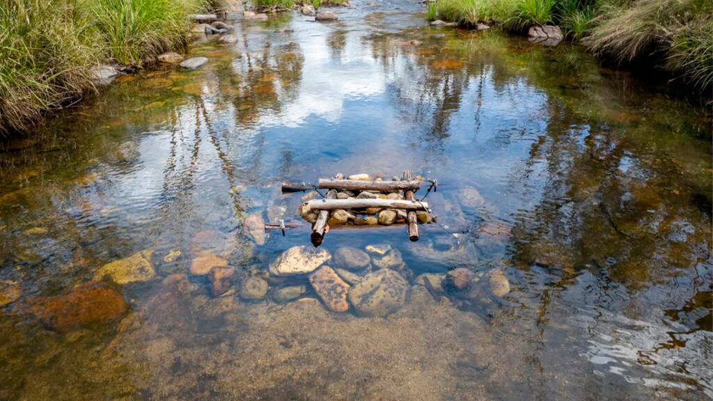 Crean “hoteles” bajo el agua para salvar a peces al borde de la extinción image HFM2OI2XONBUTDEPJZZY4JR6KE 1