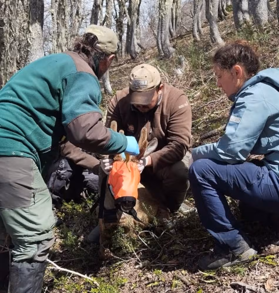 LWLTZC2C6FGHVDOYWRDDT7MCOQ LWLTZC2C6FGHVDOYWRDDT7MCOQ