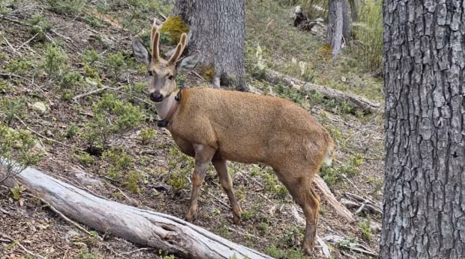 image OU7HPKVHLFEFXC267M3KGDOFK4