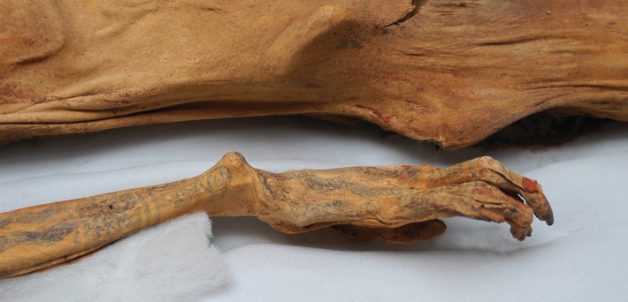 image QKNZJVQ5DBFT5L64Z5NFDWTQ74