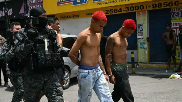 image ab7d9460 b42c 11f0 8f20 cf9ca6428886.jpg