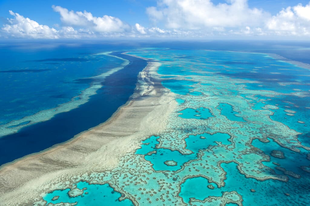 image ap22332562994724