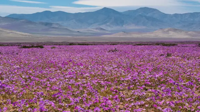 desierto-atacama-chile