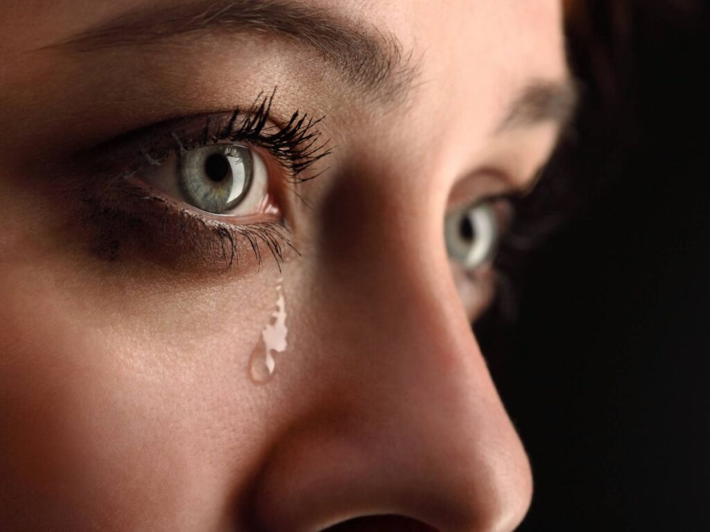 image f.elconfidencial.com original 550 98e 784 55098e7844ff0b3e933dbab9311ac755