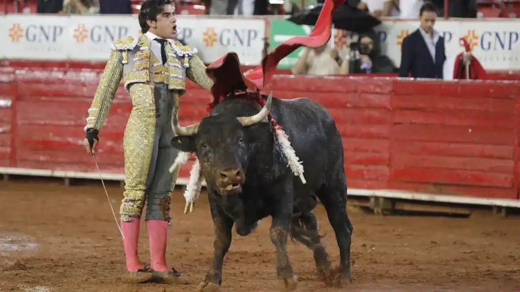 image f1280x720 118573 250248 5050