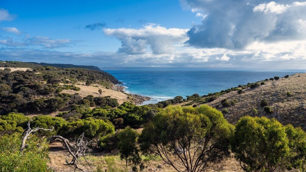 image isla australia 69 1