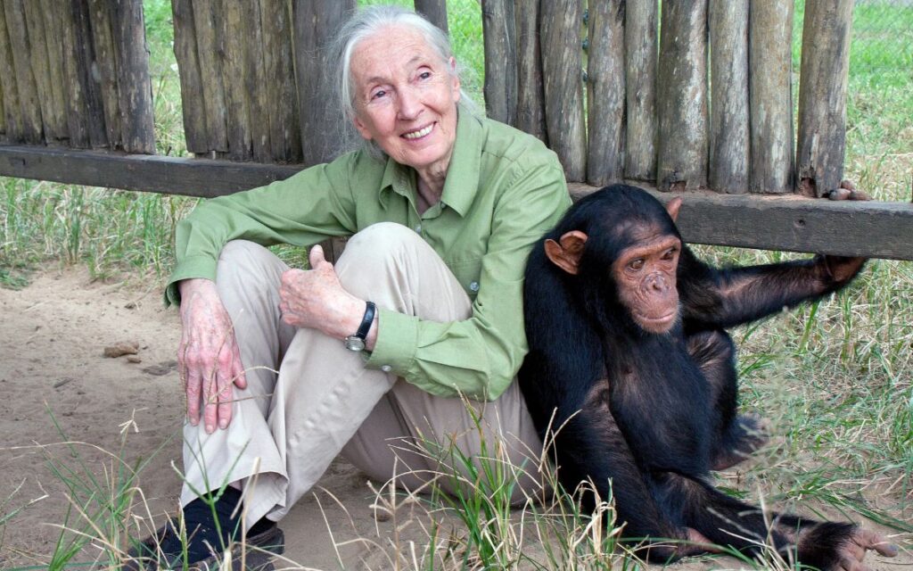 image jane Goodall 01102025