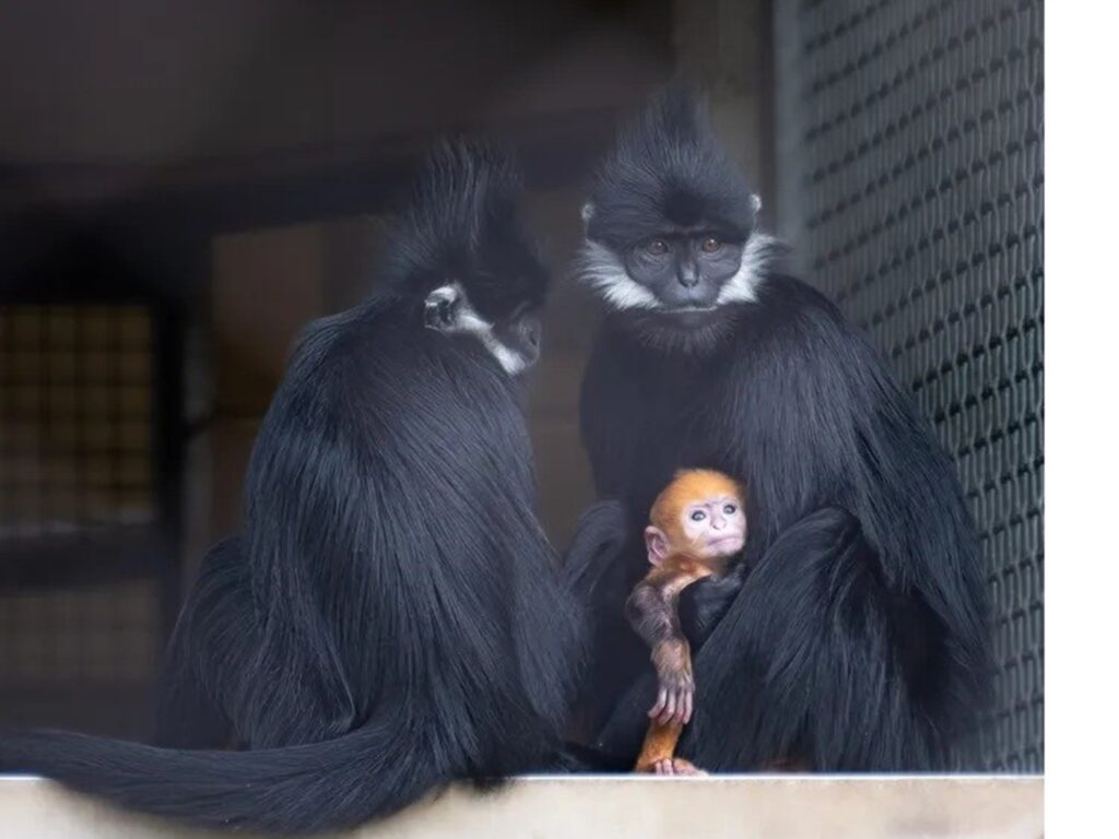 image lUhIzihsu 2000x1500 1