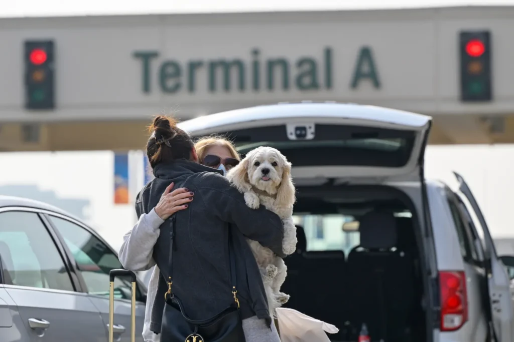 image new zealand airport limits hugs to 3 minutes to prevent awkward goodbyes 1