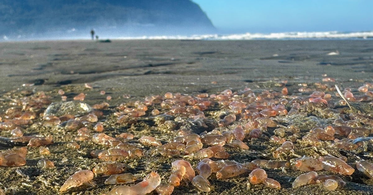 rMO-D62dt_1200x630__1