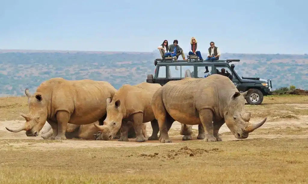 En África, los animales le temen más a los humanos que a los leones image safari.jpg 1024x614 1