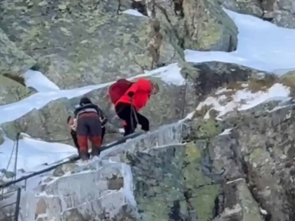 image vXG8DXyzQ 2000x1500 1