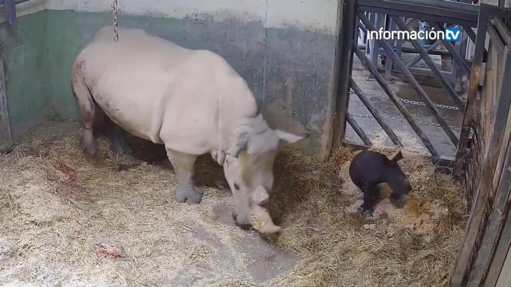 image 24ad5e7c 1d95 4bf9 a151 362ae3f35d1d alta libre aspect ratio default 0