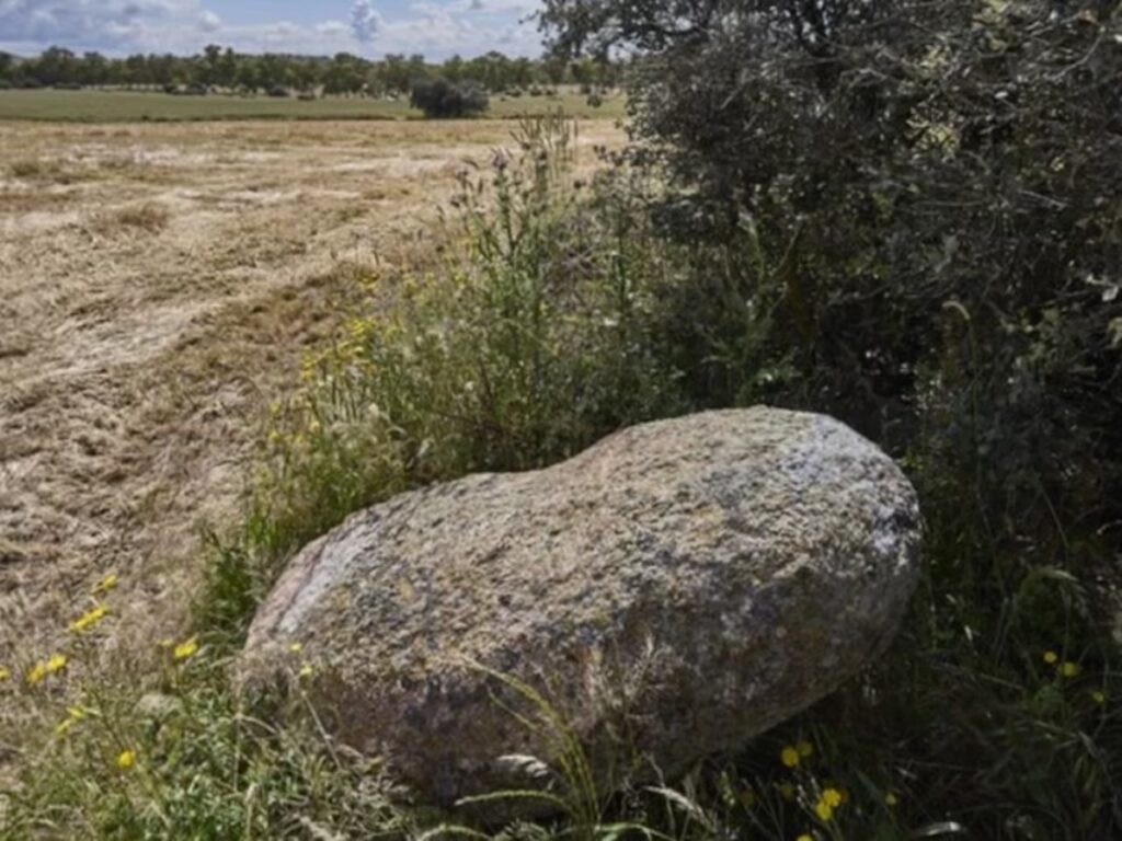 image 2QSGXFPK7NA7BK7JPGAFO4QL5A 1