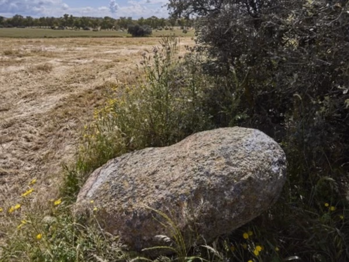 2QSGXFPK7NA7BK7JPGAFO4QL5A