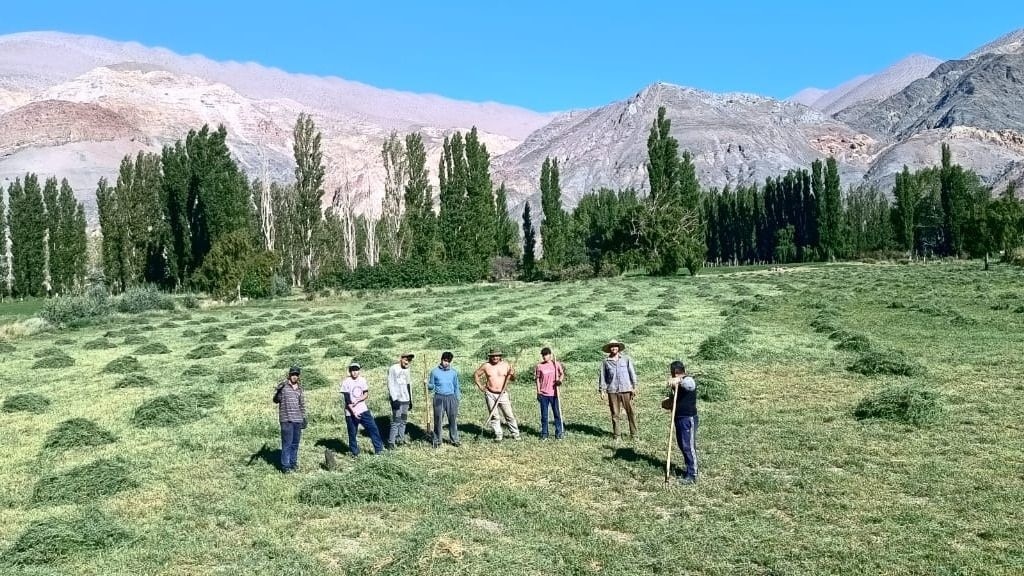 image 53ab9726 aca3 4c69 935b bc0e194f2a86 jpg 1