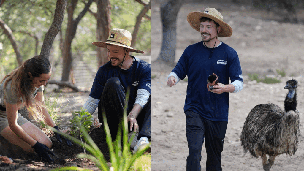 image 6900fb4938968 1