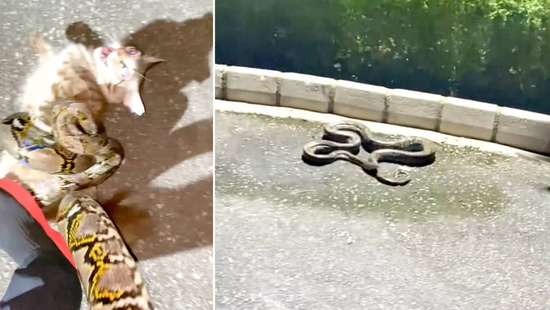 6905e12d59bf5b6c316afb96