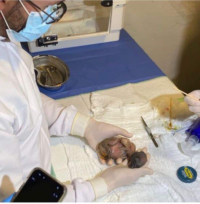 image D5ZOFVYJ6ZCMZCWD2ALKVFFQEY