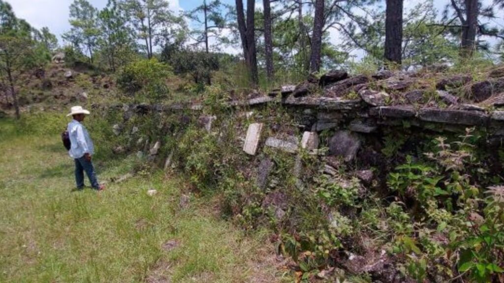 image JZHZARF4HVEB3EOOOS7M6FLZ3Y 1