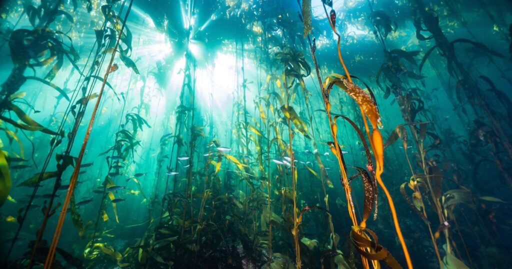 image LFRDQTNNPBBDPOCVUZQ2O5SF6Q