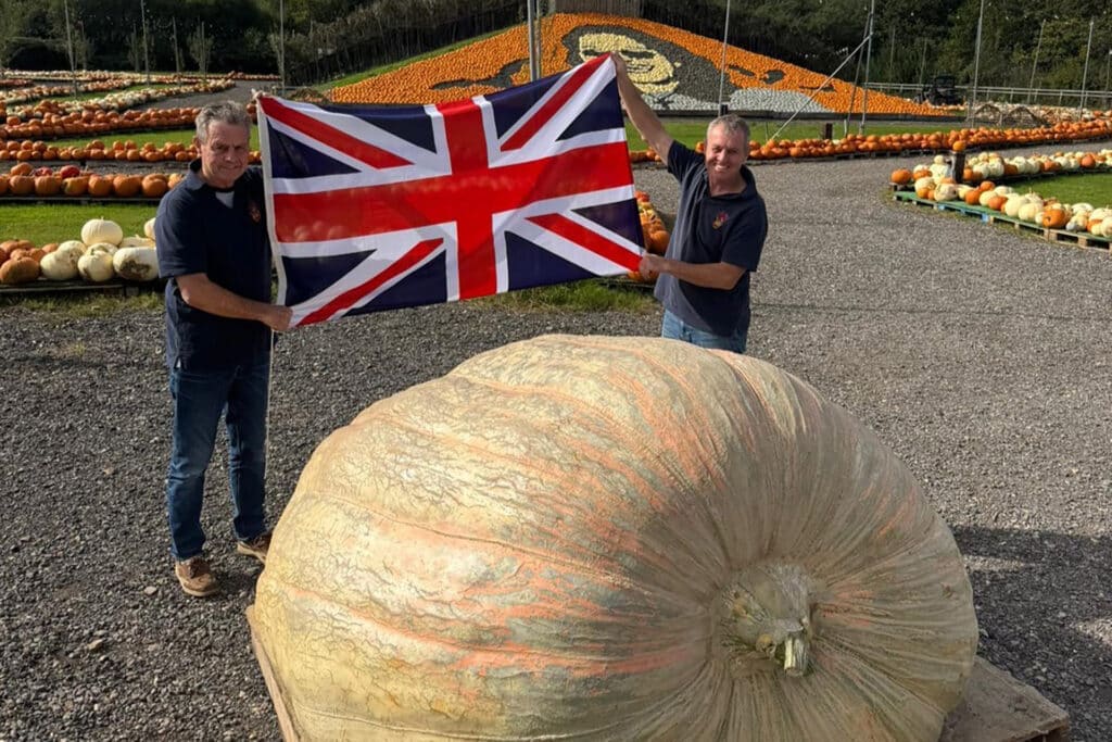 image MPD4WULCOZEDLA6N2BB62C3V2Y