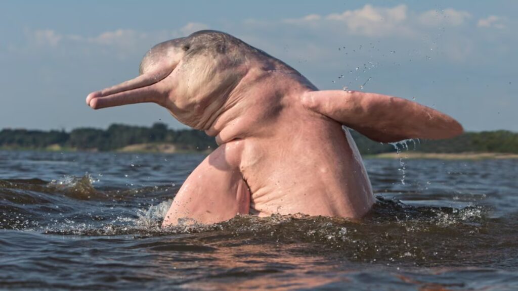 image MPODQUTGKVGQRJKL5Q3FZ4YBW4 1