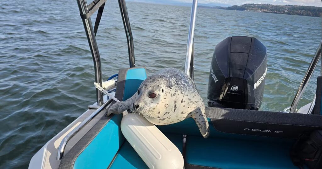 image QA2I4PUB4ZDULI65X3V5N3R6DQ