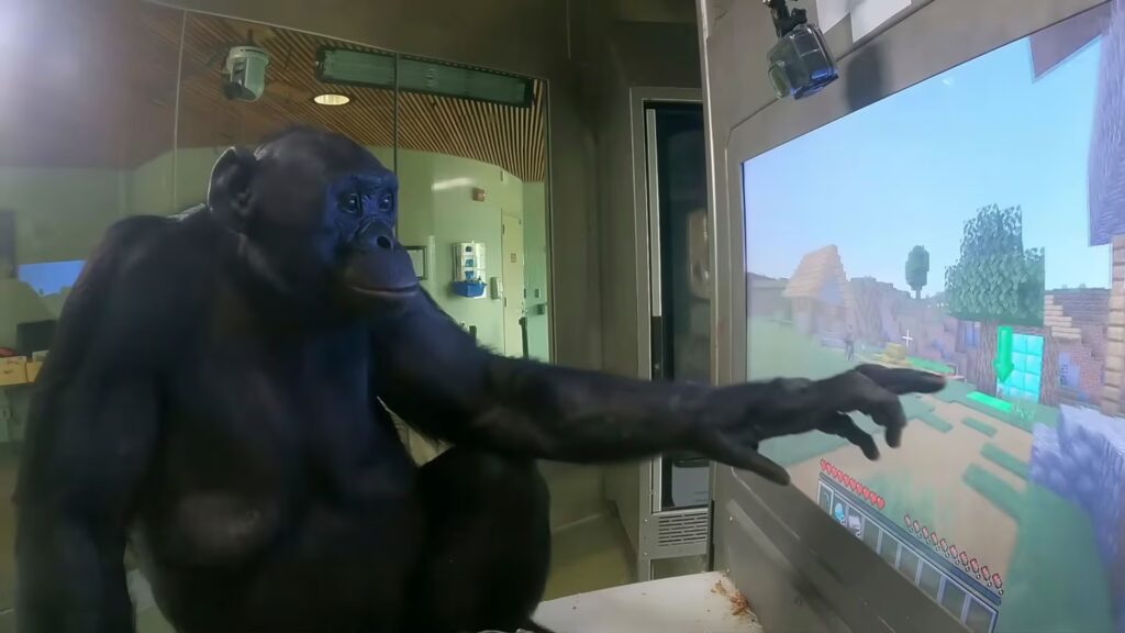 image T74U3MI2OBBVRATXSJNKPWHDB4