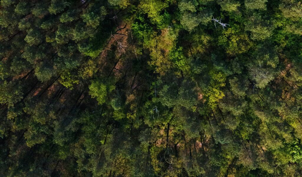 image XIXPBNGT6RA5RETLIYTI6GPA3E