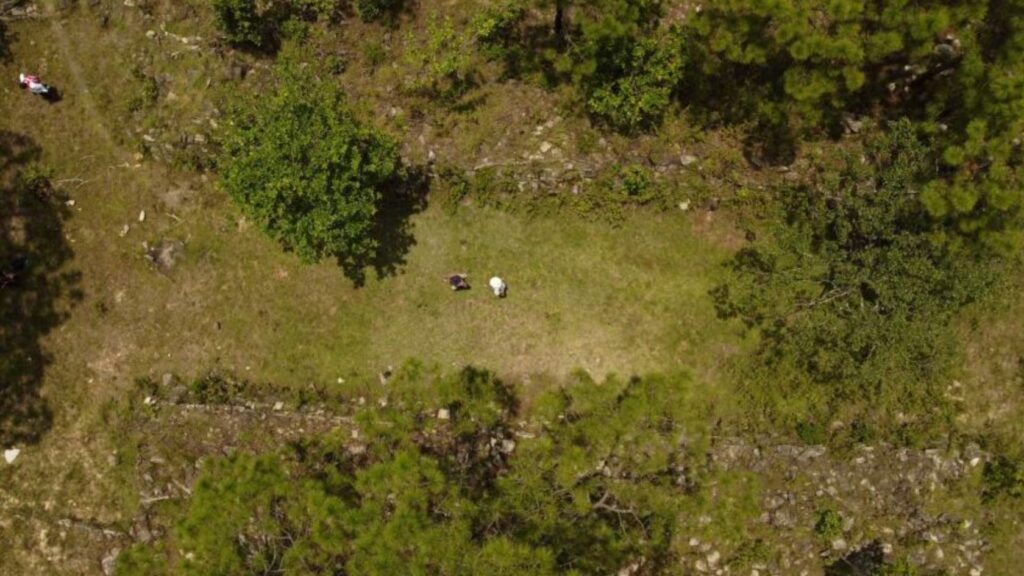 image ZYI5JICXC5E4HD7GHV6J2N2O7Y