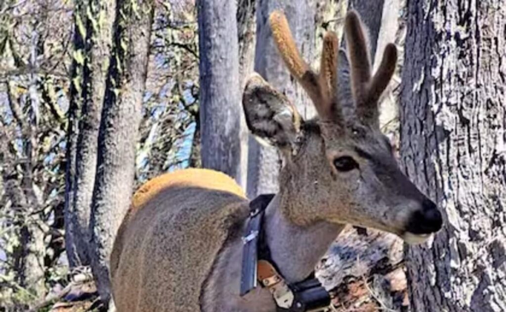 image b8b039e0 8f7a 4f0a 91e3 85fea57d3474 1